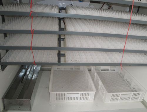 high quality new patent  egg incubator for 2112 capacity