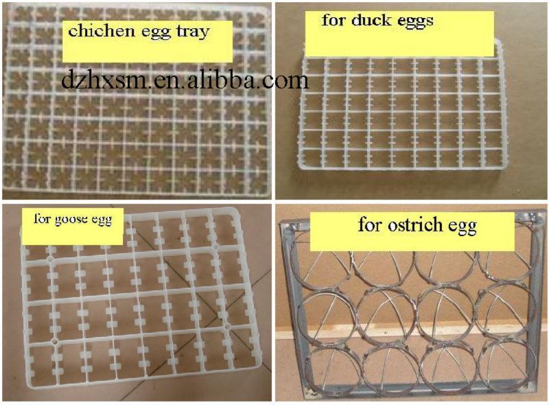 high quality new patent  egg incubator for 5280 capacity