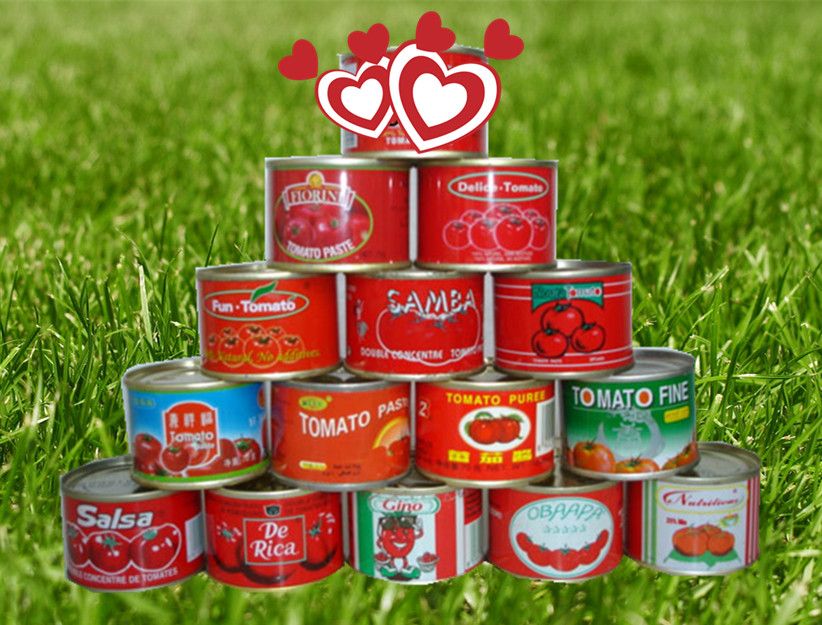 tomato paste with very competitive price