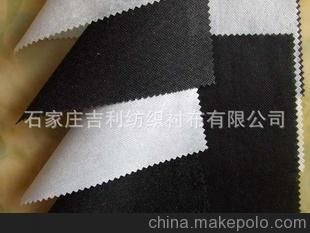 100%Polyester 30D*30D/PA/150cm woven interlining cloth