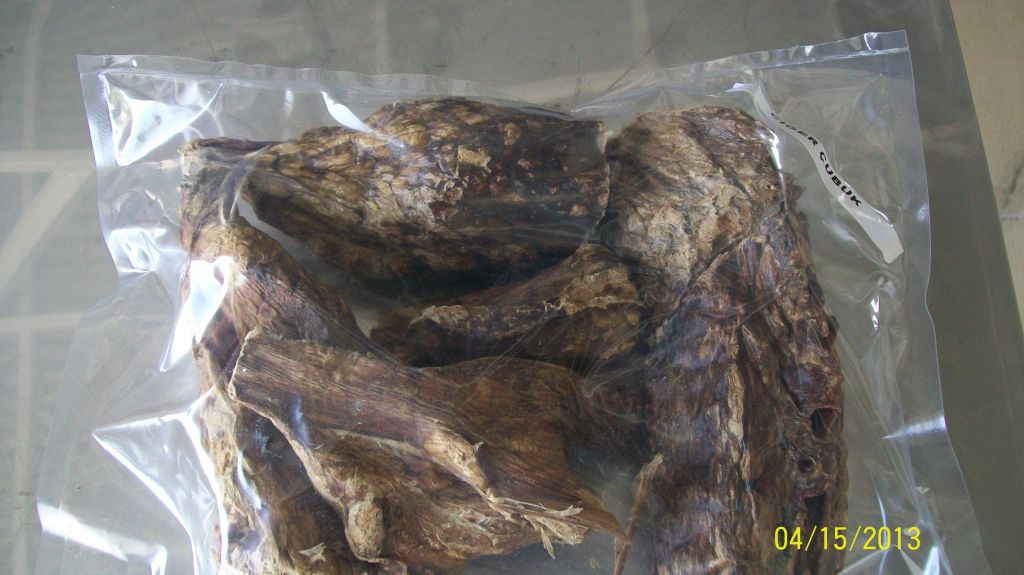 Dried lungs
