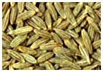 Cumin seeds