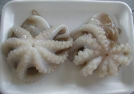 Frozen Octopus