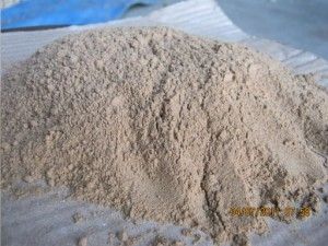 Coconut Shell Powder