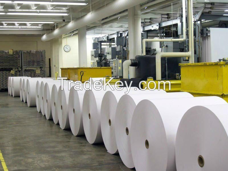 Best Quality A4 70gsm 75gsm Roll Packing Copy Paper