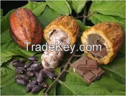 Organic cocoa