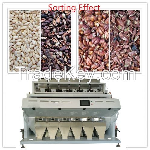 Beans Color Sorter, Color Sorter for beans, Rice Color Sorter, Nut Color Sorter