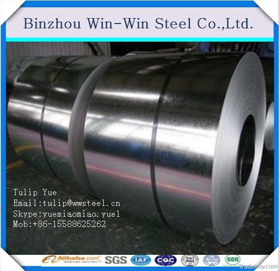 galvanized iron coil/galvanized steel on roll z40-z275