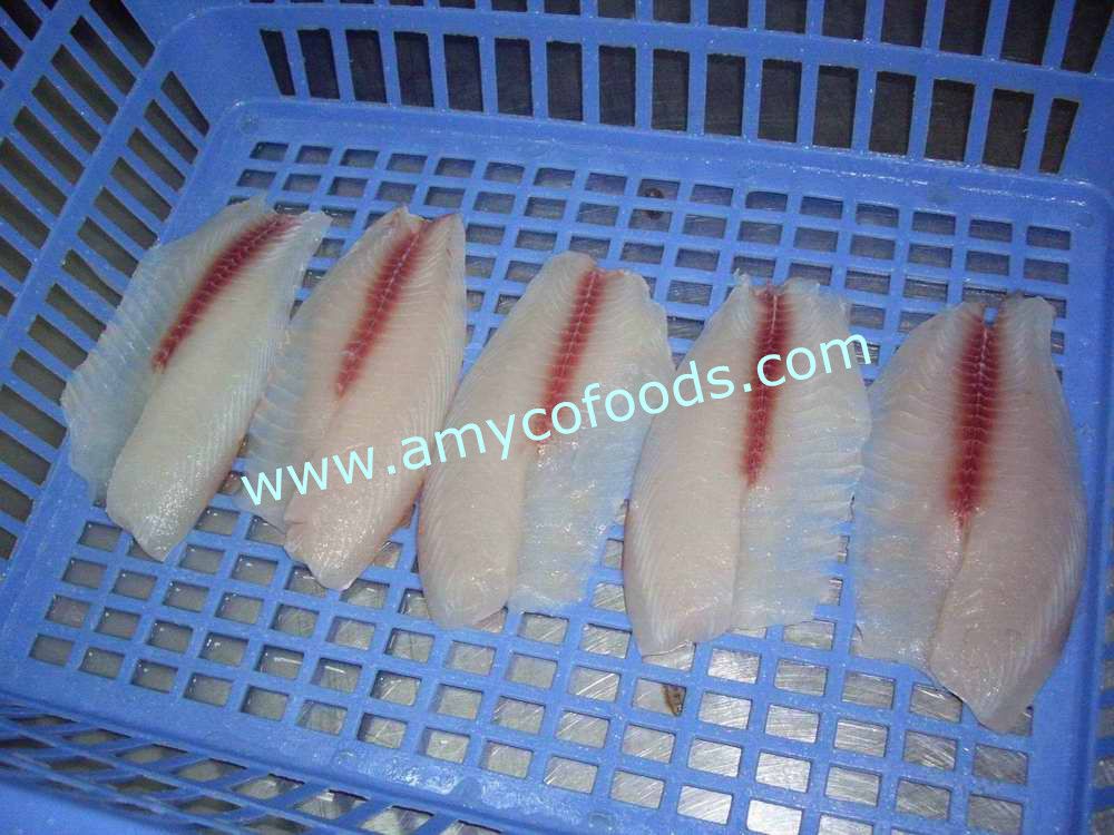 Tilapia Fillets good quality at very low price