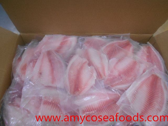 China Tilapia Fillet professioanl Tilapia Supplier/producer