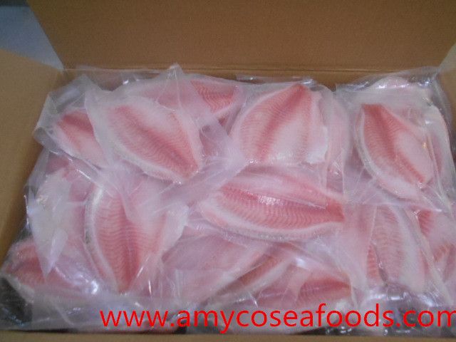 Frozen Tilapia Fillet, Tilapia Fillet SG