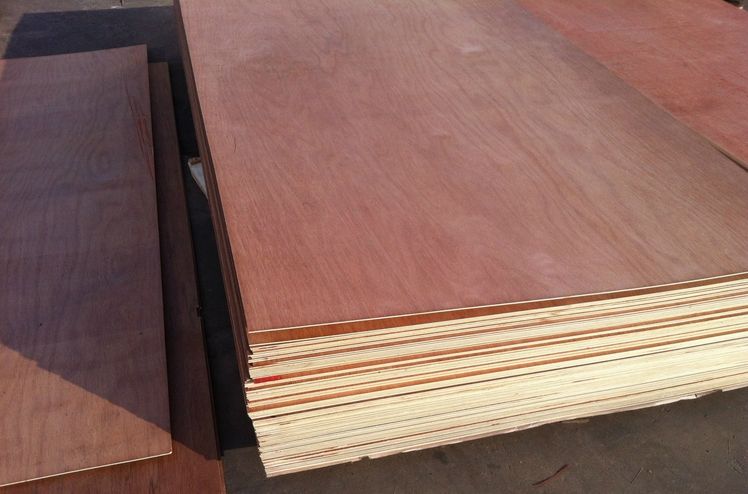 Bingtangor plywood