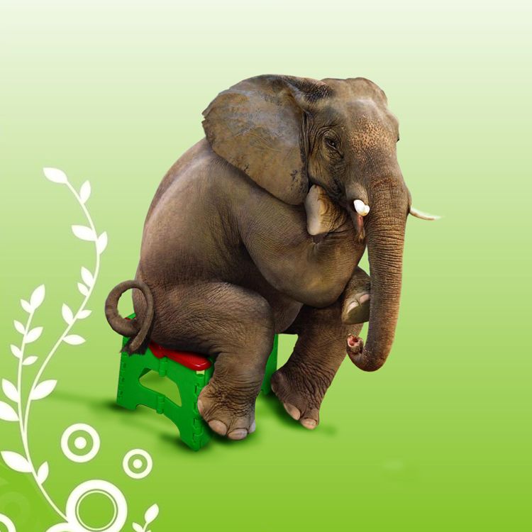 China plastic elephant stool H17cm
