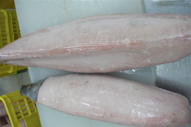 Frozen Albacore Tuna Loin, Skinless