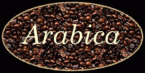 arabica coffee beans