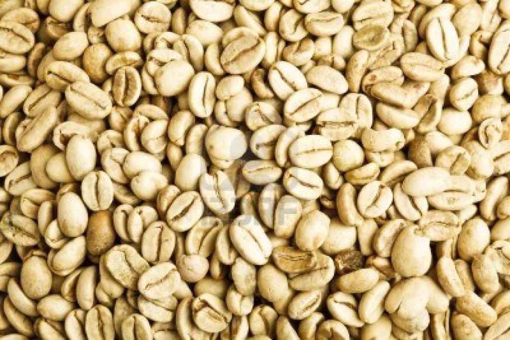 Export Arabica Coffee Beans,Arabica Coffee Bean Importer,Arabica Coffee Beans Buyer,Buy Arabica Coffee Beans,Arabica Coffee Bean Wholesaler,Arabica Coffee Bean Manufacturer,Best Arabica Coffee Bean Exporter,Low Price Arabica Coffee Beans,Best Quality Arab