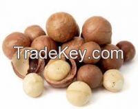 Quality Macademia Nuts