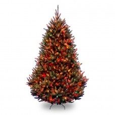 Natural Fraser Med.Fir Hinged Tree with 1000 Multi Lts