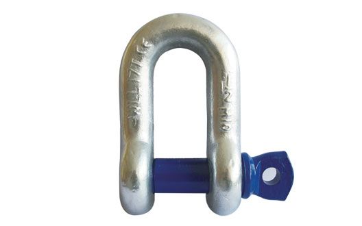 Screw Pin Chain Shackle (T8)