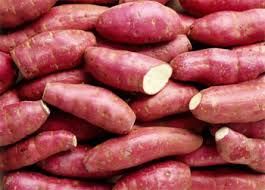 Fresh Sweet Potato