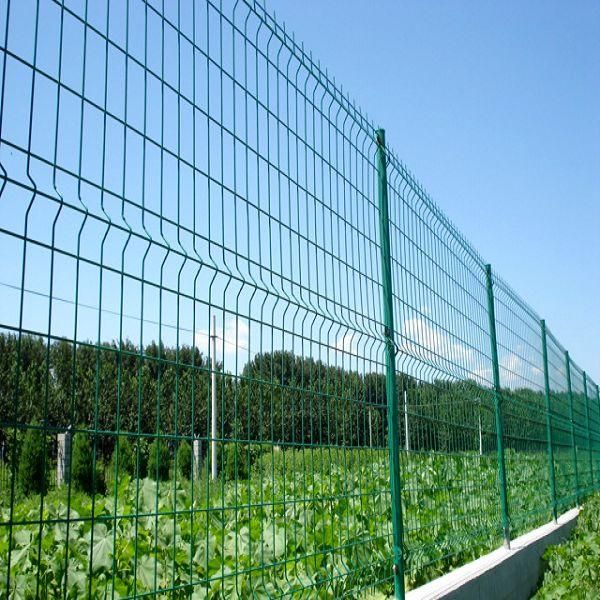 pvc coated holland wire mesh/fence mesh 