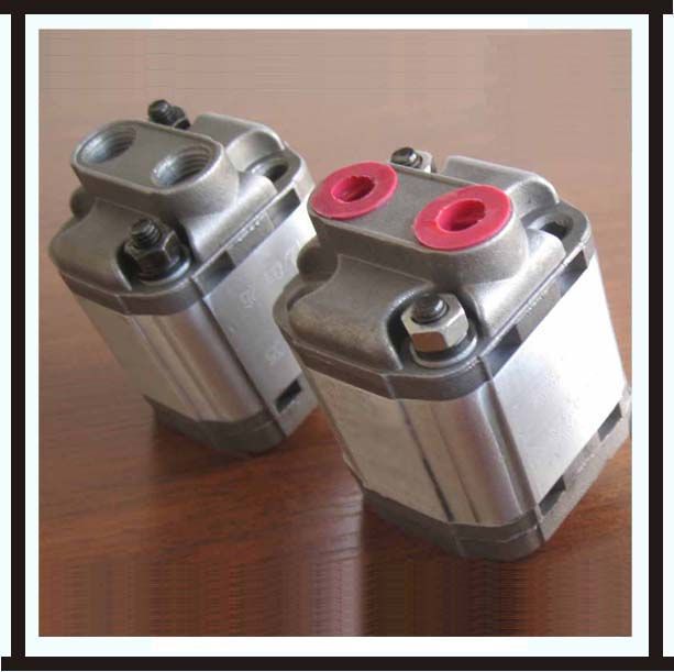 hydraulic pump in gear mini  CBTS from China Rotontec