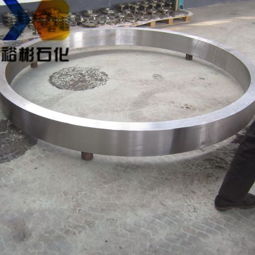 China Supplied Forged Ring Parts made in Client's Requirement