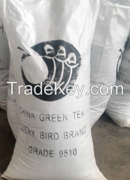 high quality Chinese Lucky Bird green tea 9510