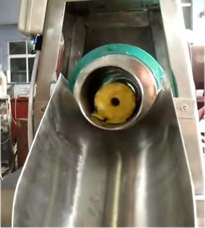 Pineapple Peeling Machine