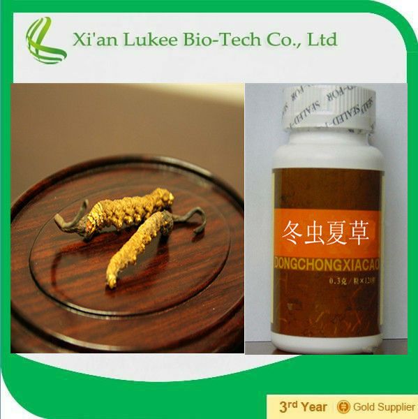  Cordyceps Sinensis Extract with polysaccharide for Nutritional Supplements 