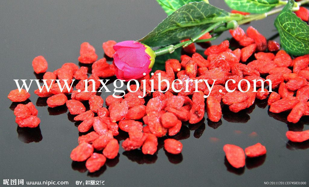 Dried Goji Berry from Ningxia, China 180grains/50g