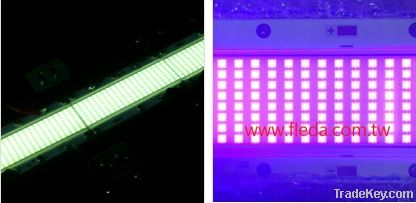 UV LED COB 160W