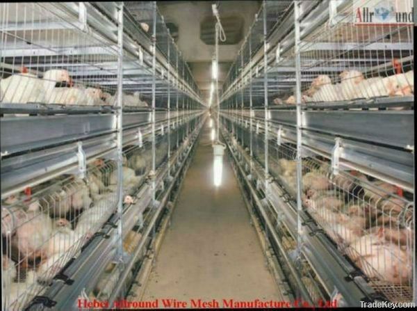 Broiler Rearing Cage