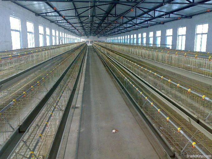 Broiler Rearing Cage