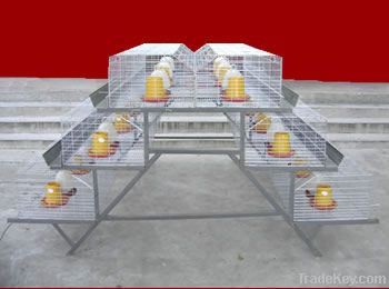 Pullets Rearing Cage