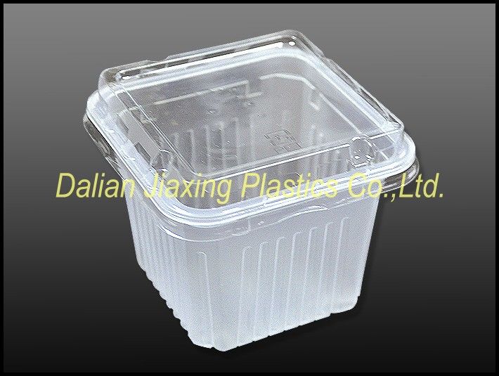 disposable plastic food container