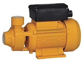 Peripheral Electric Water pump