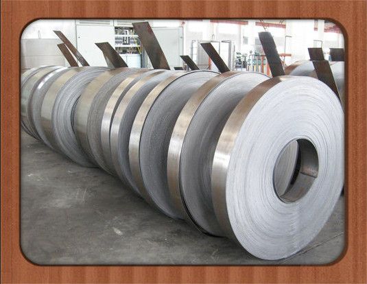 HR/CR/Galvanized Steel Strip