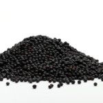 Canola Seeds