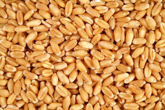 Indian Milling Wheat