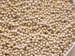 Soybeans from Ukraine and  Argentina