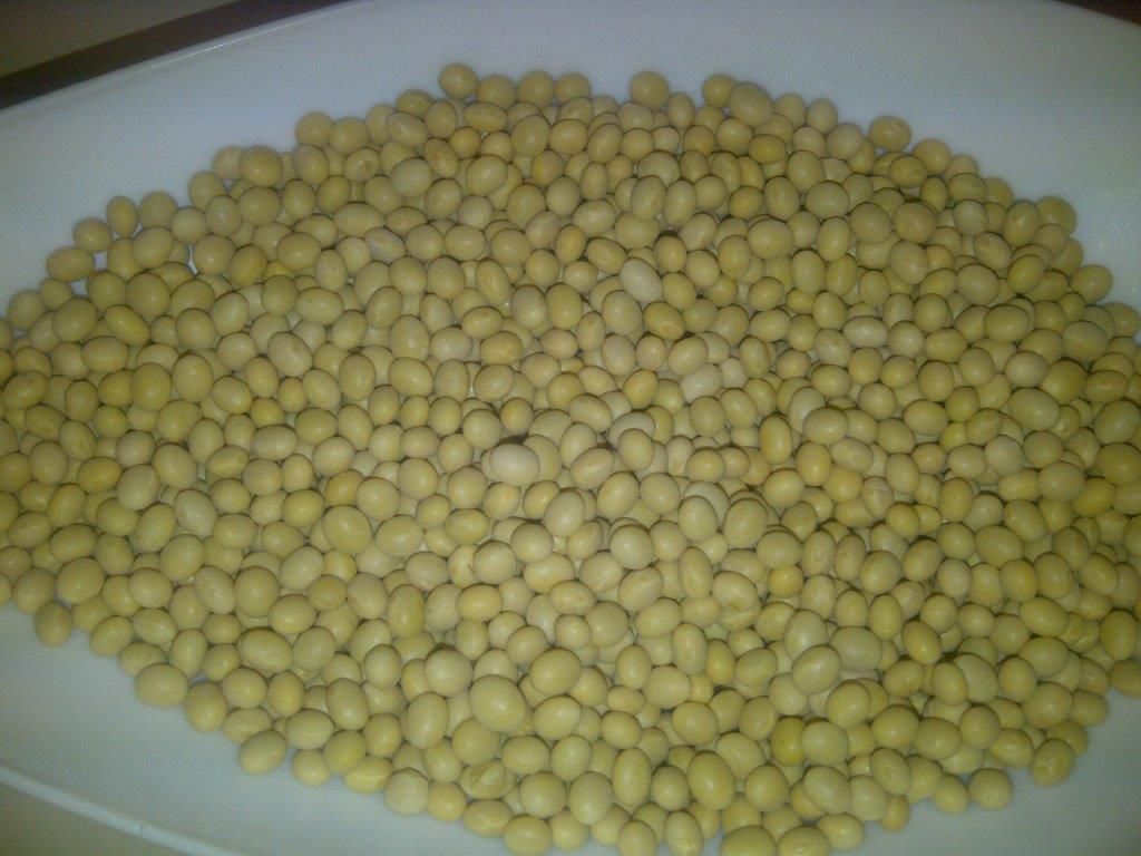 Soybeans from Ukraine and  Argentina