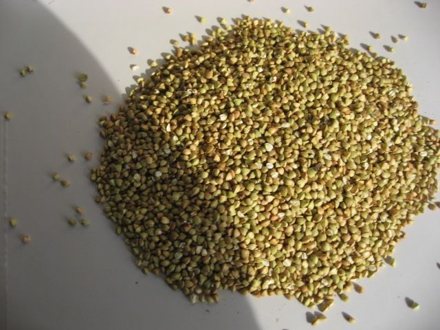 Green and Roasted buckwheat