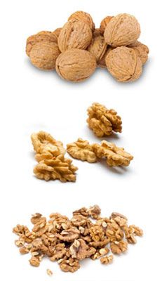 Walnut in shell and Walnut Kernel