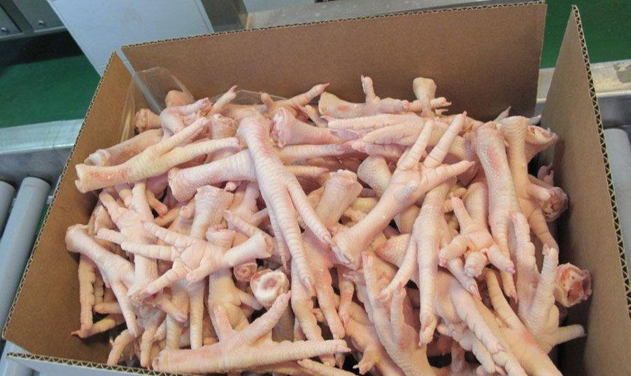 Halal Frozen Chicken Paws and Feet