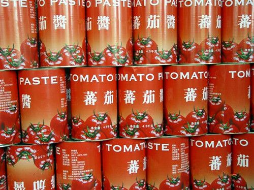 canned tomato manufacturer canned tomate paste 