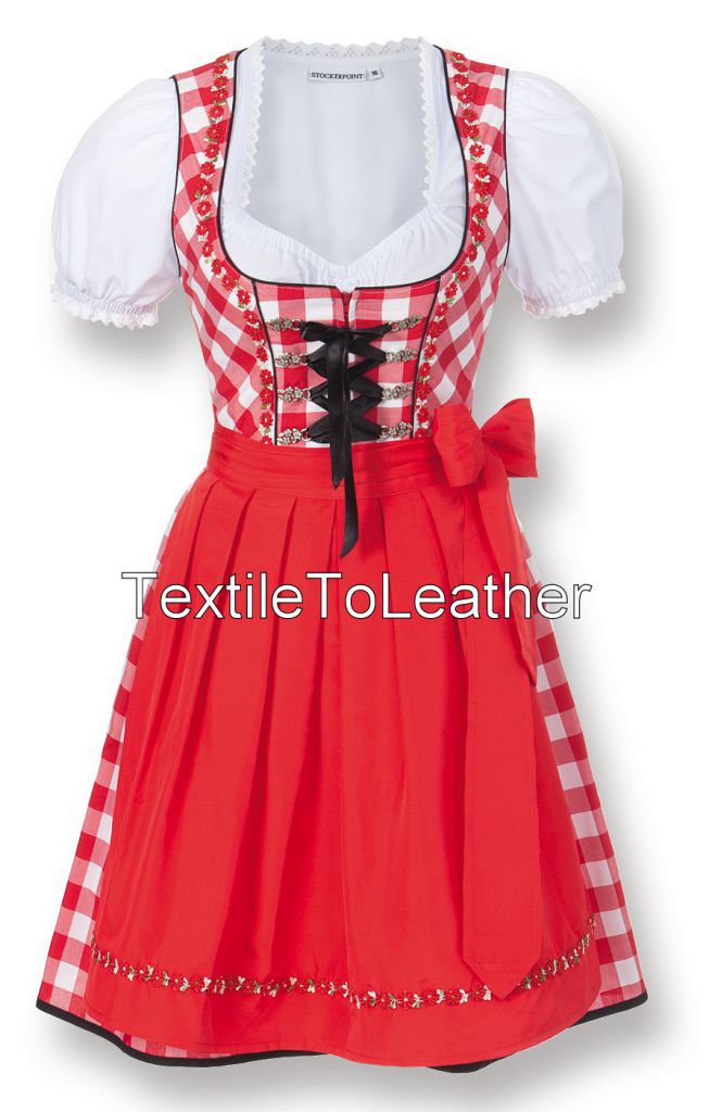 Dirndl Dress 