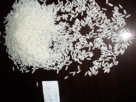 Long Grain IRRI6 Rice of Pakistan Origin