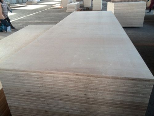 birch plywood