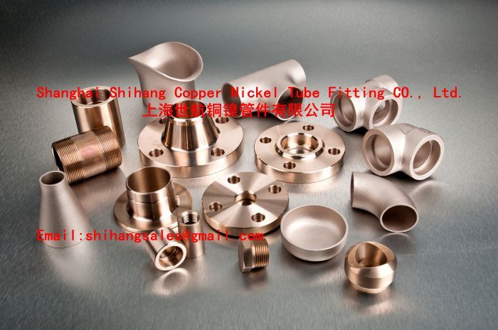 Copper Nickel Welding Neck Flange 7060X ANSI B16.5/EEMUA 145